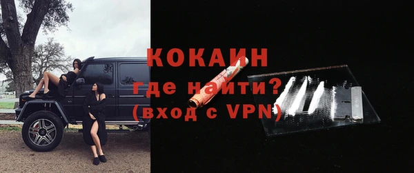 сатива Заводоуковск