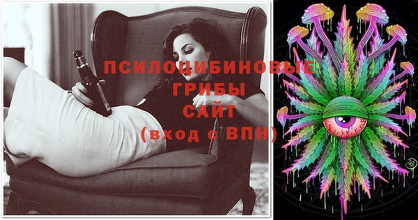 стафф Саяногорск