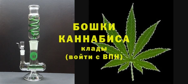 хмурый Ельня