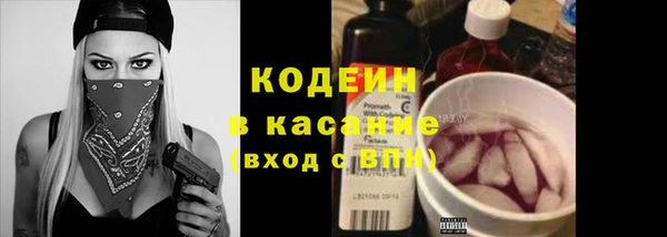 хмурый Ельня