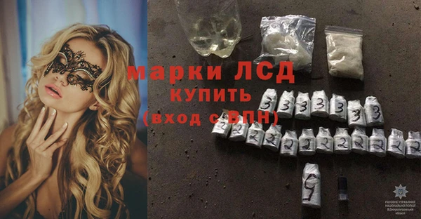 сатива Заводоуковск