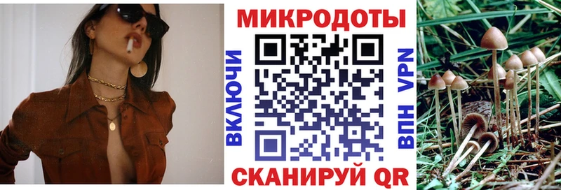 купить  сайты  маркетплейс телеграм  Псилоцибиновые грибы мухоморы  Вязники 